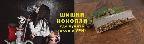 крисы Горно-Алтайск