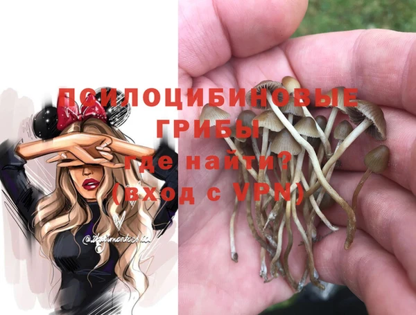 крисы Горно-Алтайск
